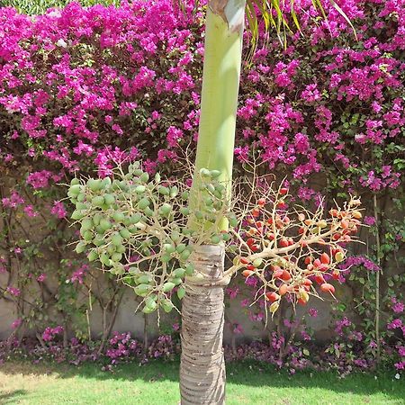 Hotel La Belle Etoile & Spa Saly Portudal Bagian luar foto