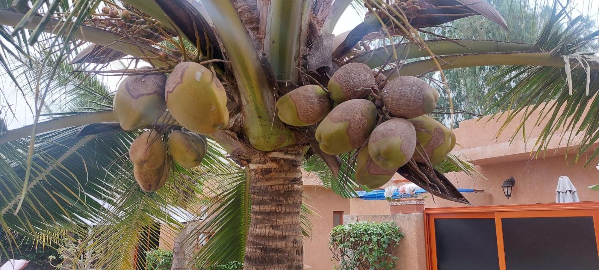 Hotel La Belle Etoile & Spa Saly Portudal Bagian luar foto